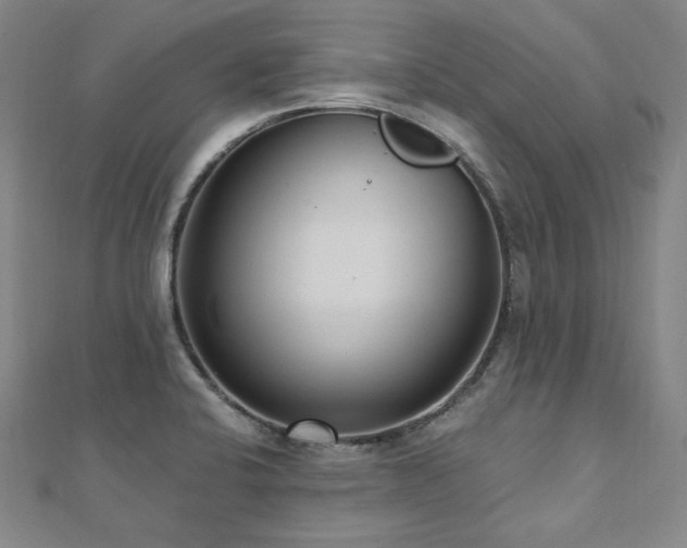 X0000112481424200908171210