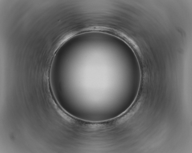 X0000112481425200908171210