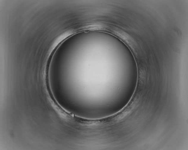 X0000112481426200908171210