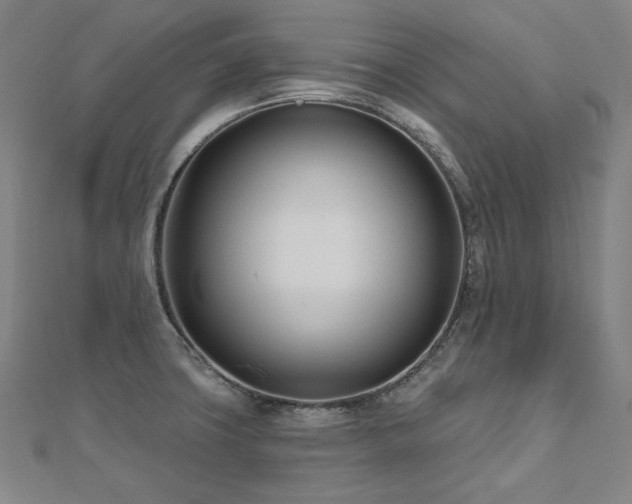 X0000112481427200908171210