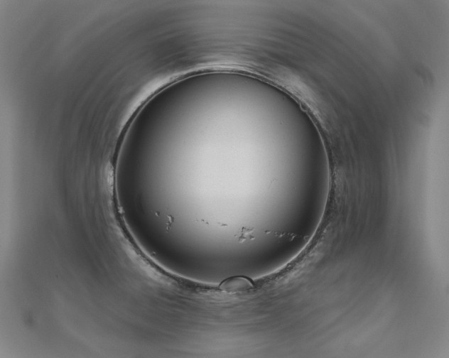 X0000112481428200908171210