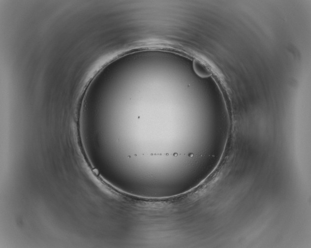 X0000112481429200908171210