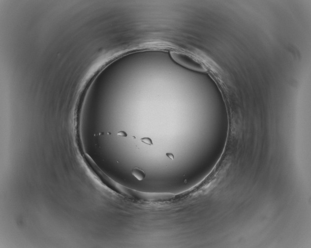 X0000112481430200908171210