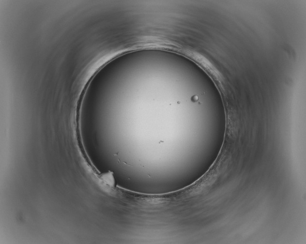 X0000112481431200908171210