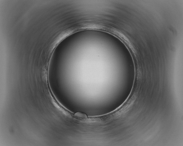 X0000112481433200908171210
