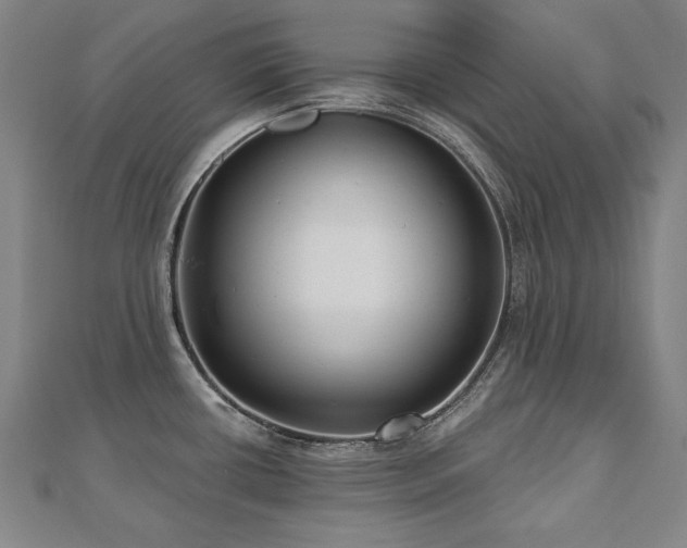 X0000112481434200908171210