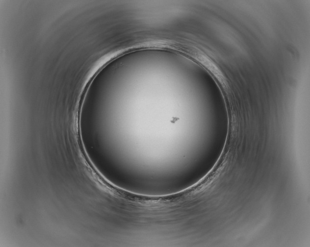 X0000112481436200908171210