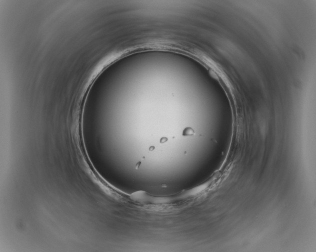 X0000112481437200908171210