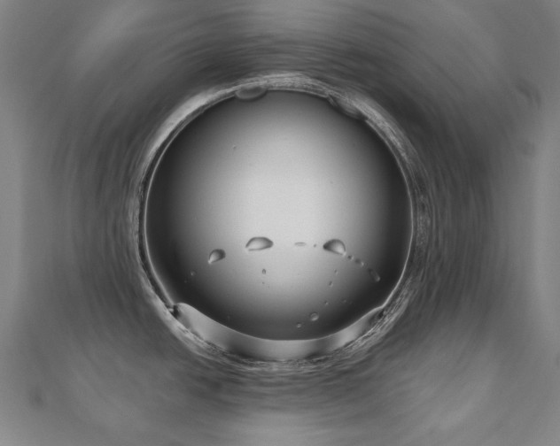 X0000112481438200908171210