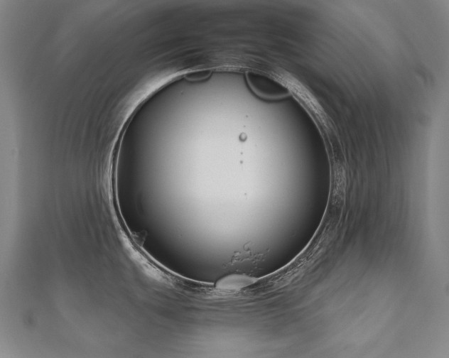 X0000112481439200908171210