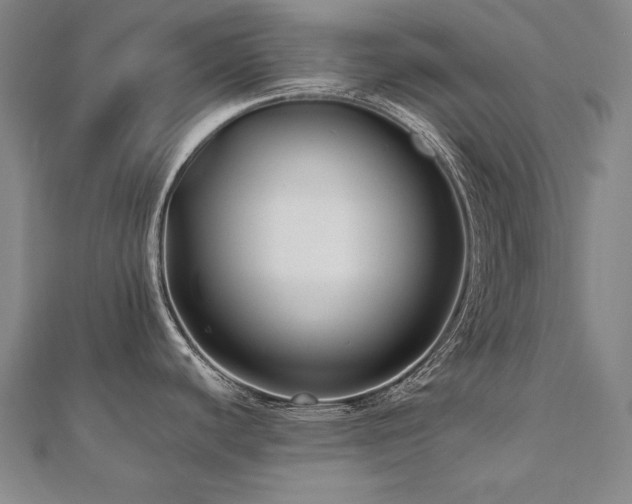 X0000112481440200908171210