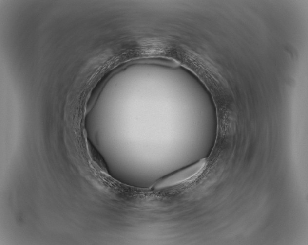 X0000112481441200908171209