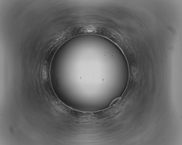 X0000112481442200908171209