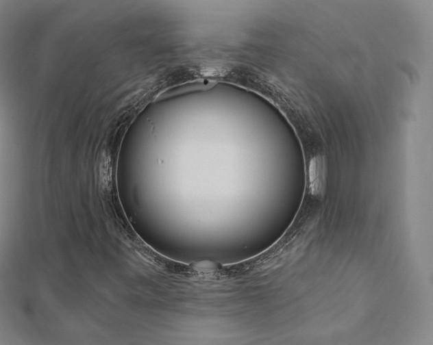 X0000112481443200908171209