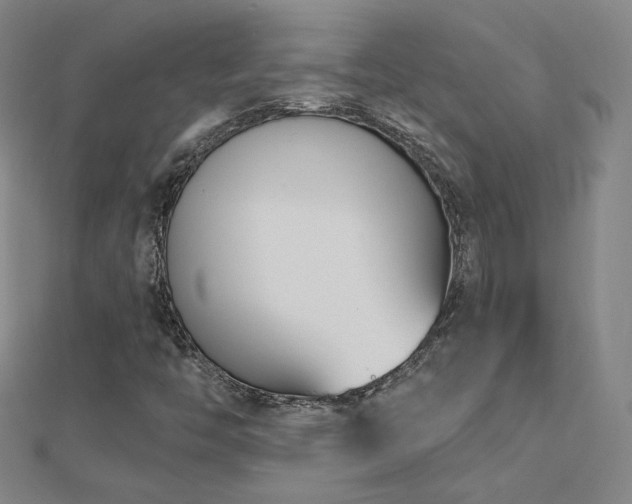 X0000112481446200908171209