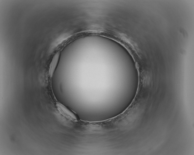 X0000112481448200908171209