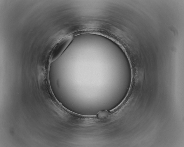 X0000112481449200908171209