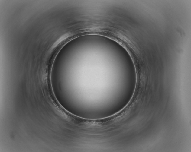X0000112481450200908171209