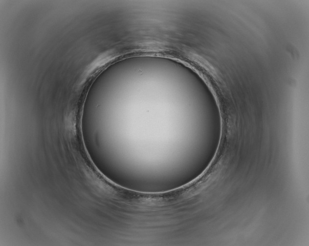 X0000112481451200908171209