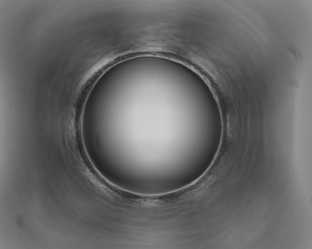 X0000112481452200908171209