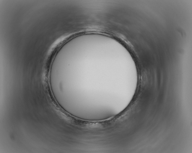 X0000112481454200908171209