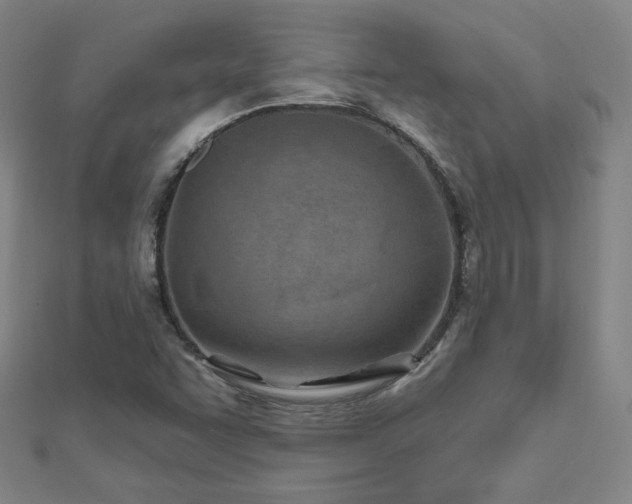 X0000112481455200908171209