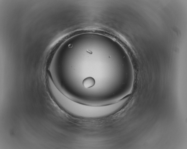 X0000112481456200908171209
