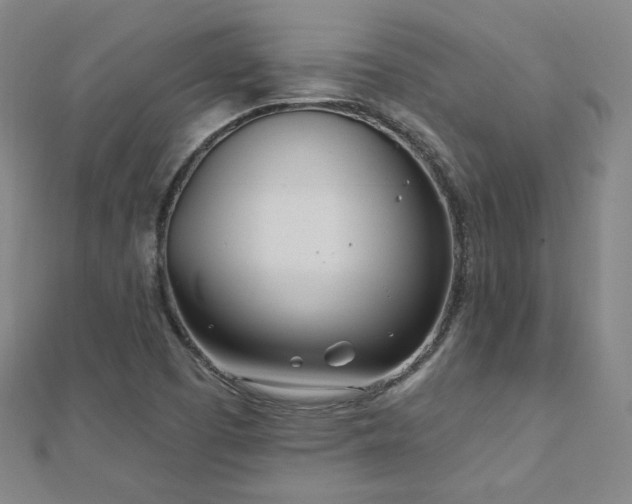 X0000112481457200908171209