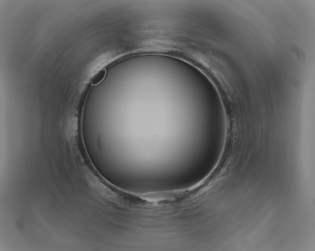 X0000112481459200908171209