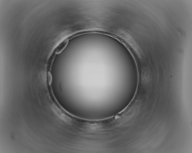 X0000112481460200908171209