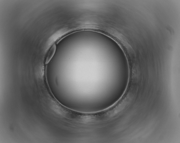 X0000112481461200908171209
