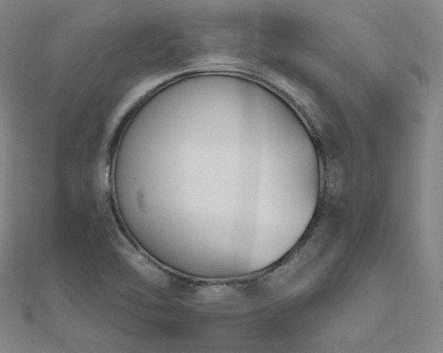 X0000112481462200908171209