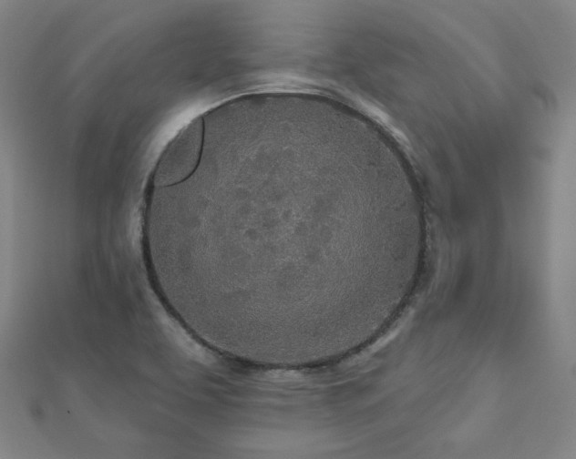 X0000112481463200908171209