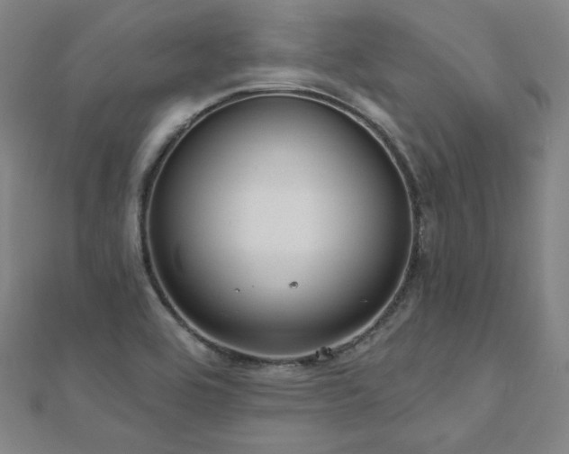 X0000112481464200908171209