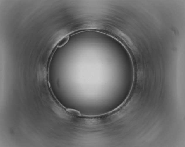 X0000112481465200908171209