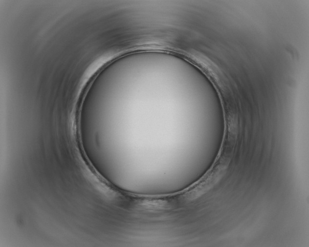 X0000112481466200908171209