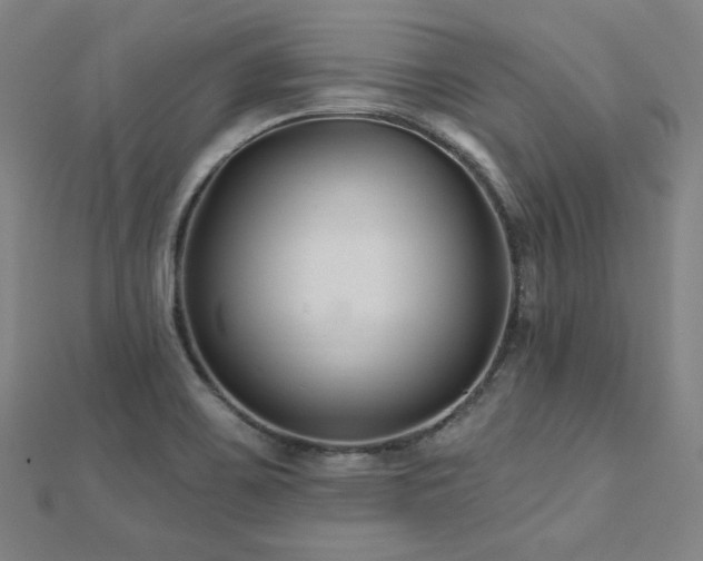 X0000112481467200908171209