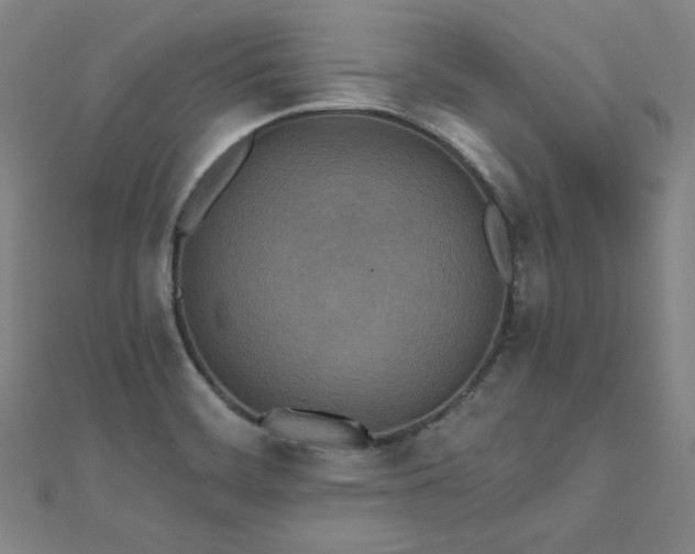 X0000112481468200908171209