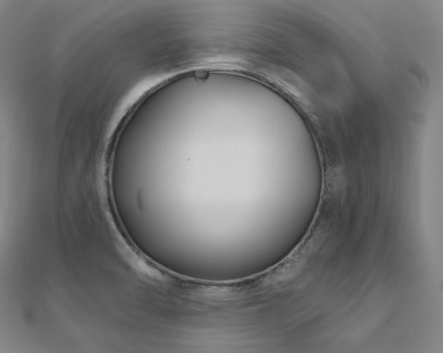 X0000112481470200908171209