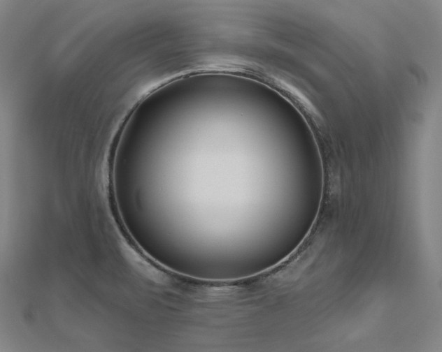 X0000112481471200908171209