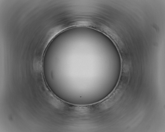 X0000112481473200908171209