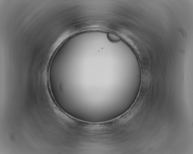 X0000112481474200908171209