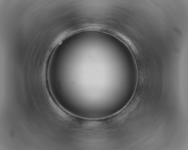 X0000112481475200908171209