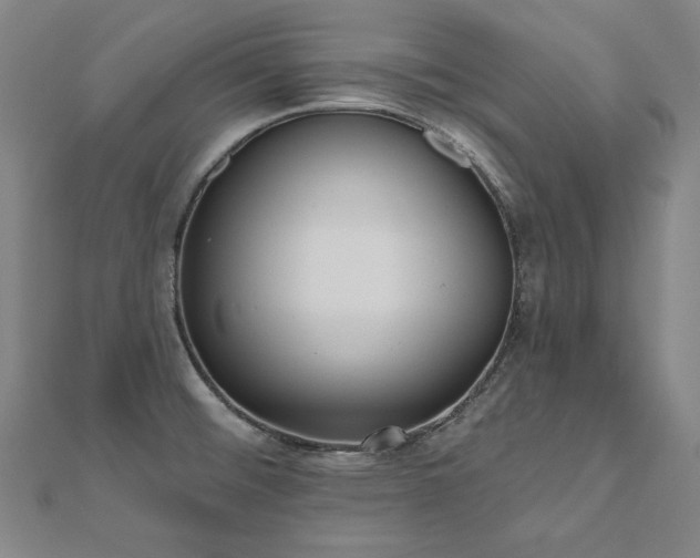X0000112481476200908171209
