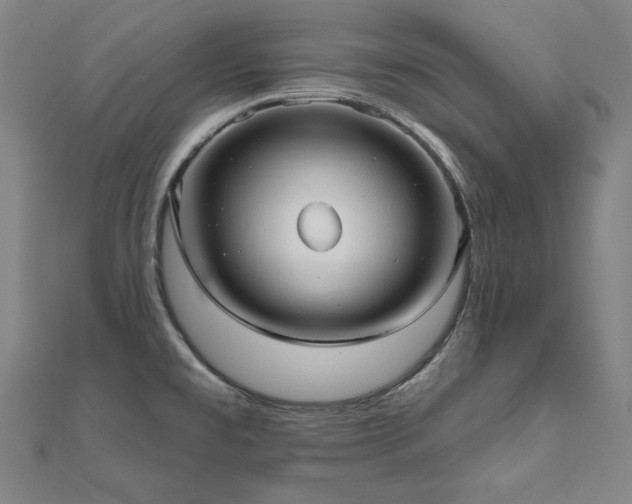 X0000112481477200908171209