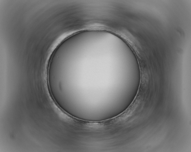 X0000112481478200908171209