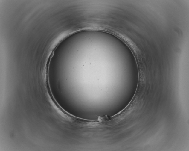 X0000112481479200908171209