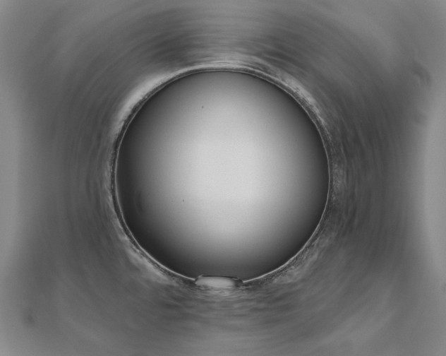 X0000112481480200908171209