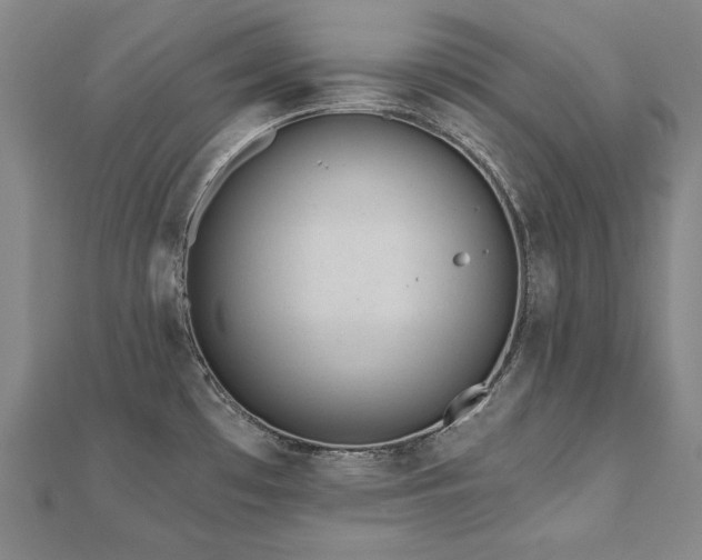 X0000112481481200908171209