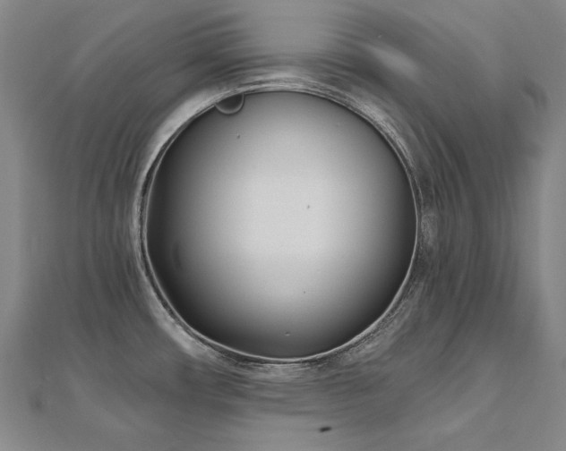 X0000112481482200908171209